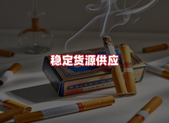 专业团队